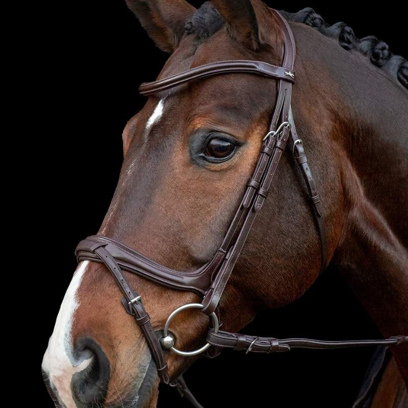 Bridle Ancona Select Brown