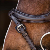 Bridle Ancona Select Brown Bridle Ancona Select Brown