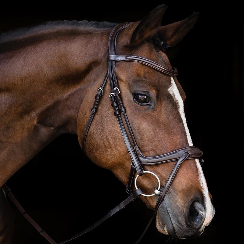 Bridle Ancona Select Brown