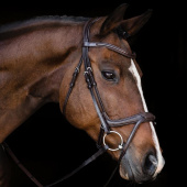 Bridle Ancona Select Brown Bridle Ancona Select Brown