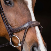 Bridle Ancona Select Brown Bridle Ancona Select Brown