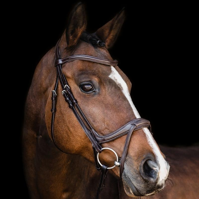 Bridle Ancona Select Brown