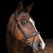 Bridle Ancona Select Brown Bridle Ancona Select Brown