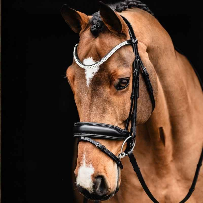 Dressage Bridle Valencia Black
