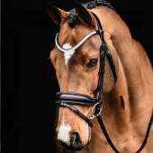 Dressage Bridle Valencia Black Dressage Bridle Valencia Black