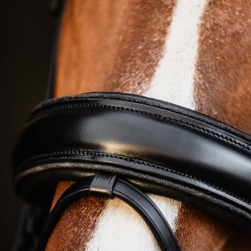 Dressage Bridle Valencia Black