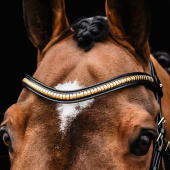 Browband Monza C Black/Gold Browband Monza C Black/Gold