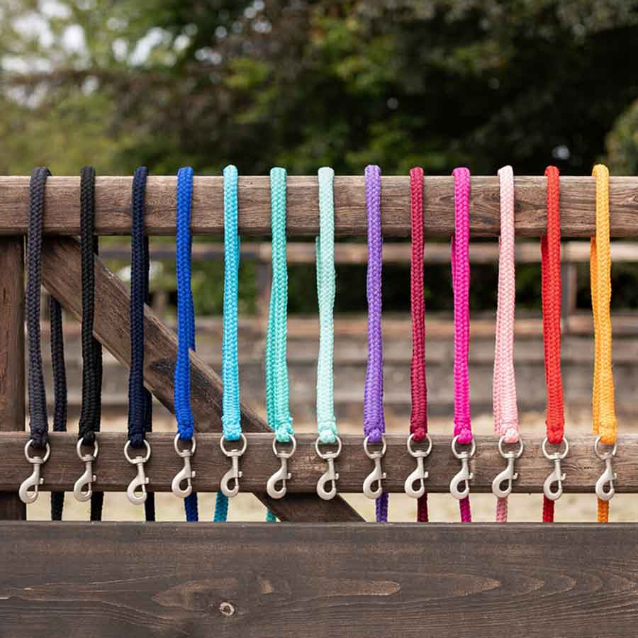 Halter Heavy Snap 2m Light Blue