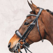 Weymouth Bridle Venice Black/Lacquer