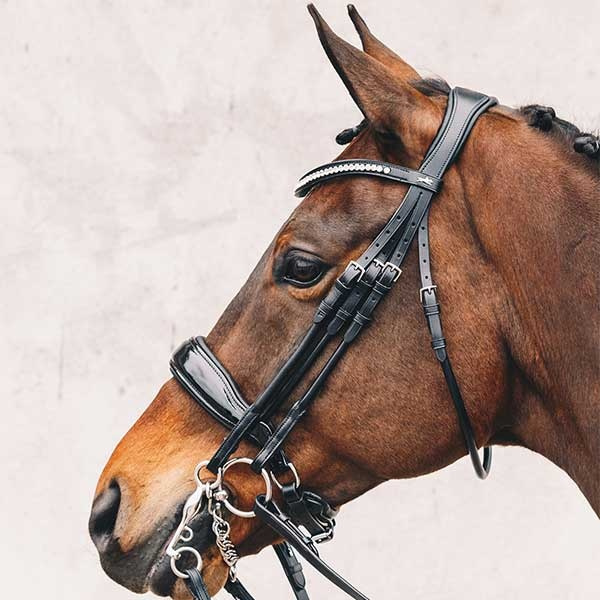 Weymouth Bridle Venice Black