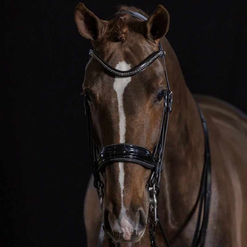 Double Bridle Milan Glam Patent Black