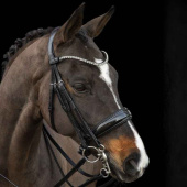Double Bridle Milazzo Black Double Bridle Milazzo Black