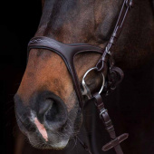 Bridle with Reins Anatomic Sport Brown