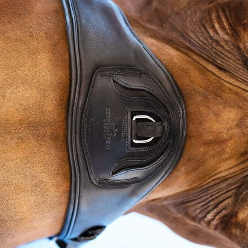 Dressage Girth Pittsburgh Stretch Black