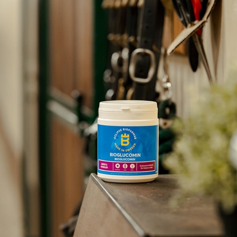 BioGlucomin 450g