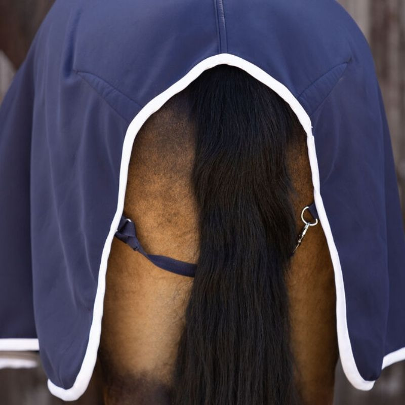 Cooler Rug Jersey Show Navy Blue