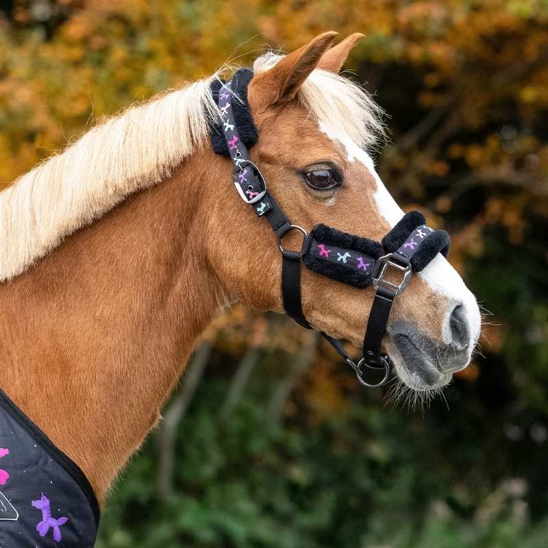 Halter and Lead Rope Isalyn Unicorn Black