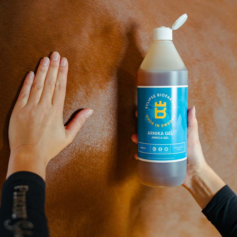 Arnica Gel 1L
