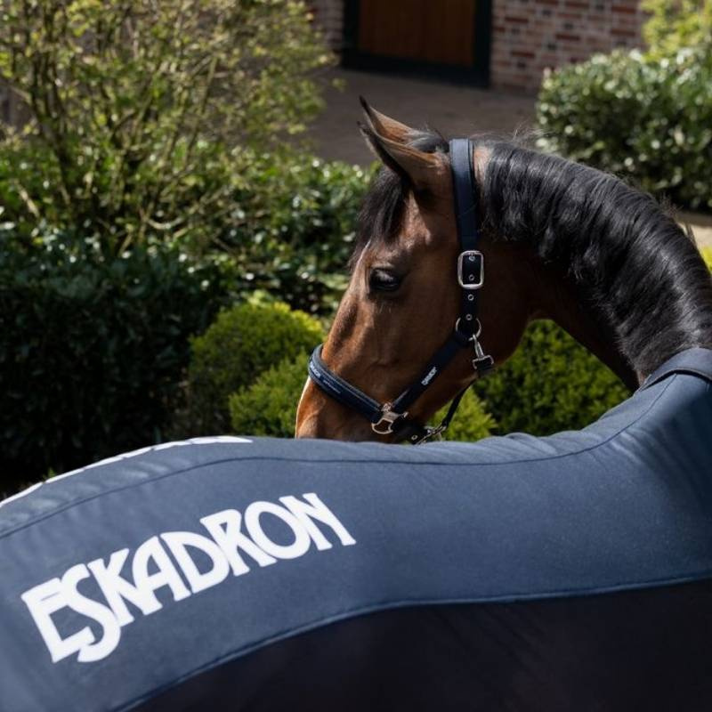 Fly Rug Pro Cover Navy Blue