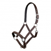 Bridle Charming Brown
