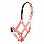 Bridle Charming Coral