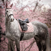 Dressage Saddle Pad Venus Pink