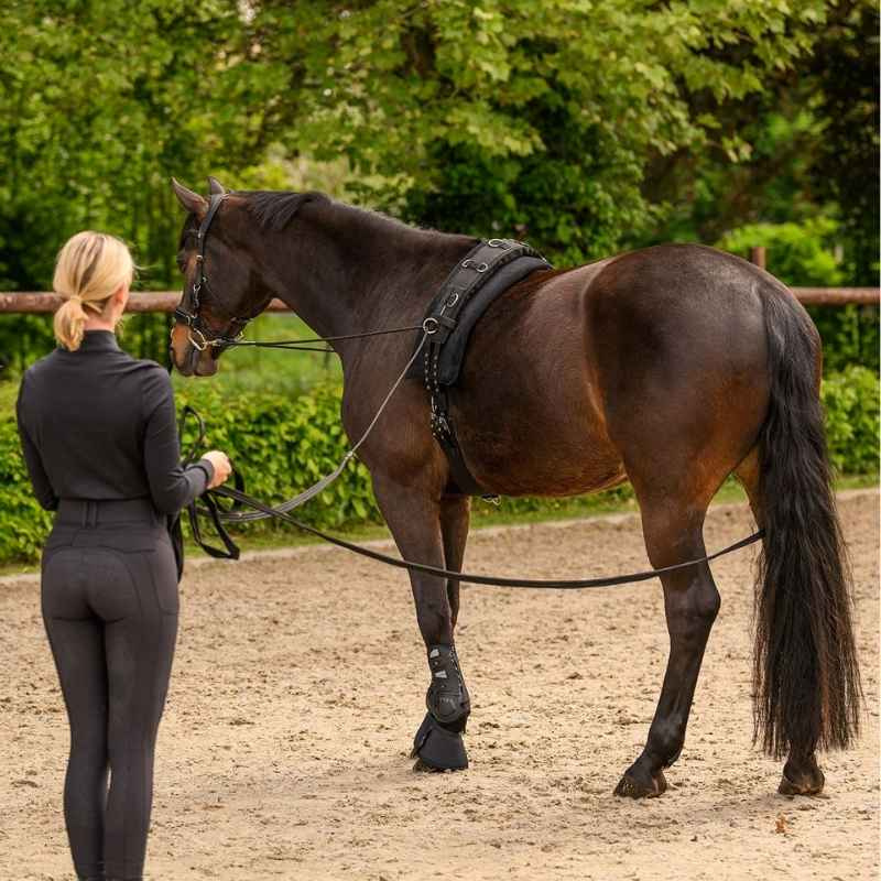 Double Lunge Line Classic Black