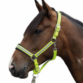 Halter Reflective Yellow/Silver Halter Reflective Yellow/Silver