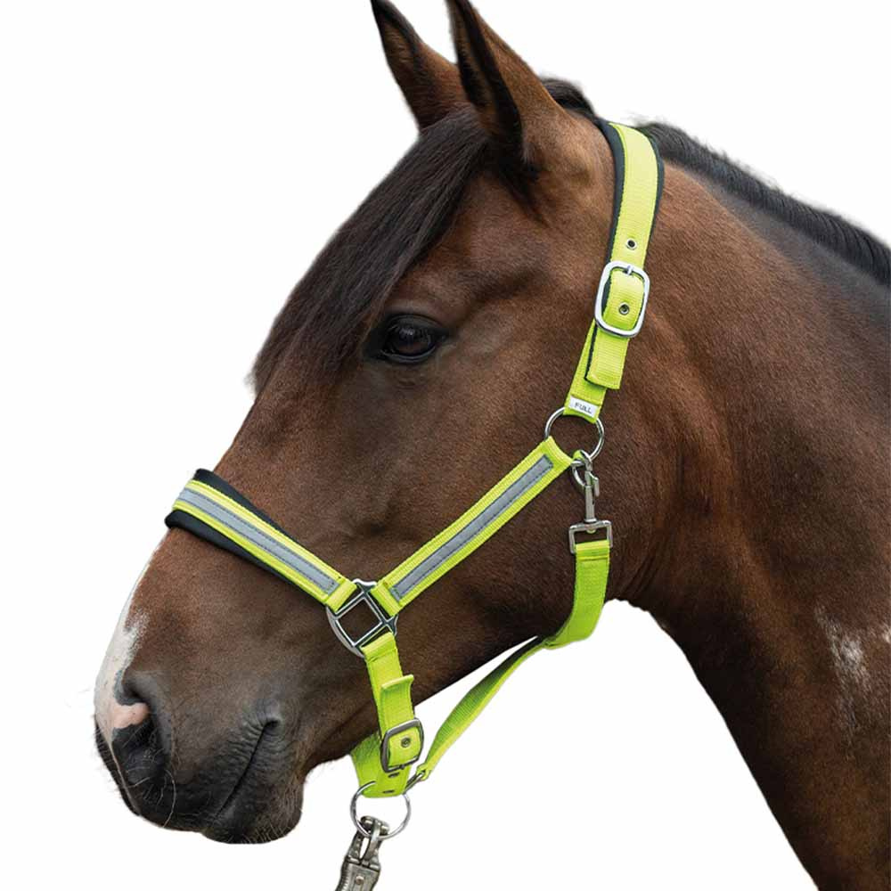 Halter Reflective Yellow/Silver