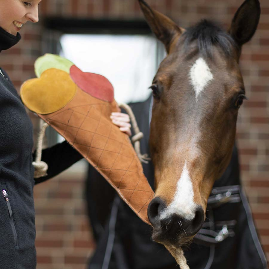 Horse Toy Ice Cream in Jute