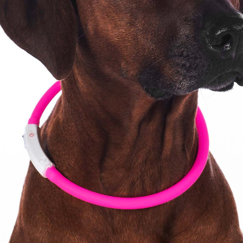 Dog Collar LED Lights Pink