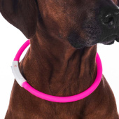 Dog Collar LED Lights Pink Dog Collar LED Lights Pink