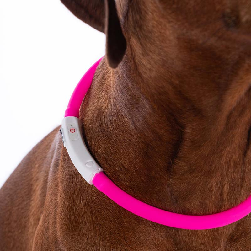 Dog Collar LED Lights Pink