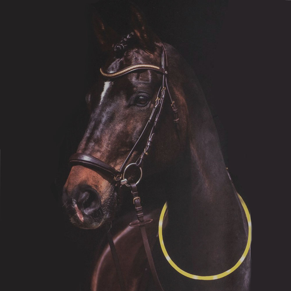 Neck Ring LED Lights Yellow