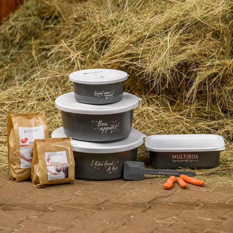 Multibox with Lid 3L Grey