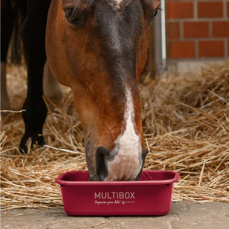 Multibox with Lid 3L Red