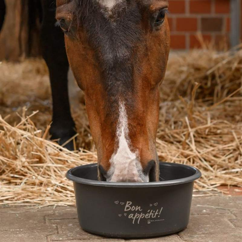 Feed Bowl with Lid 5L Grey