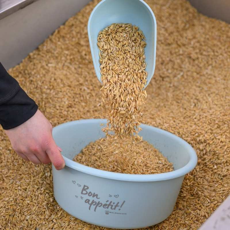 Feed Bowl with Lid 5L Blue