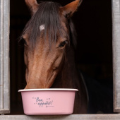 Feed Bowl with Lid 5L Pink Feed Bowl with Lid 5L Pink
