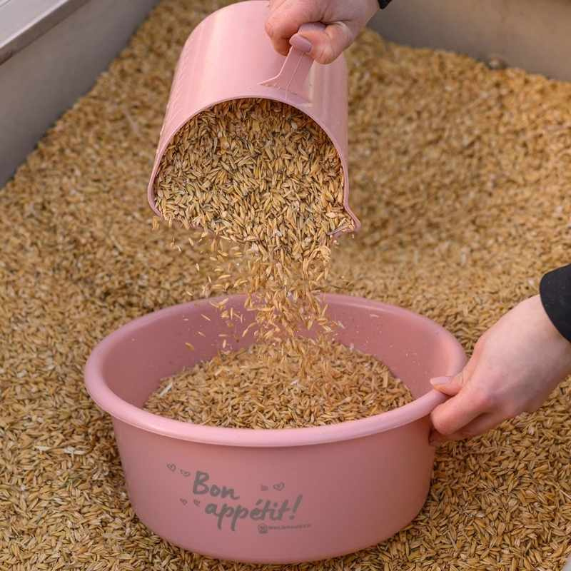Feed Bowl with Lid 5L Pink