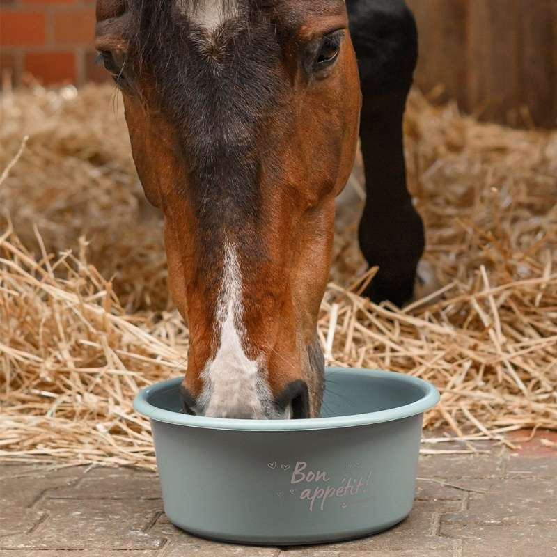 Feed Bowl with Lid 5L Green