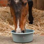Feed Bowl with Lid 5L Green Feed Bowl with Lid 5L Green