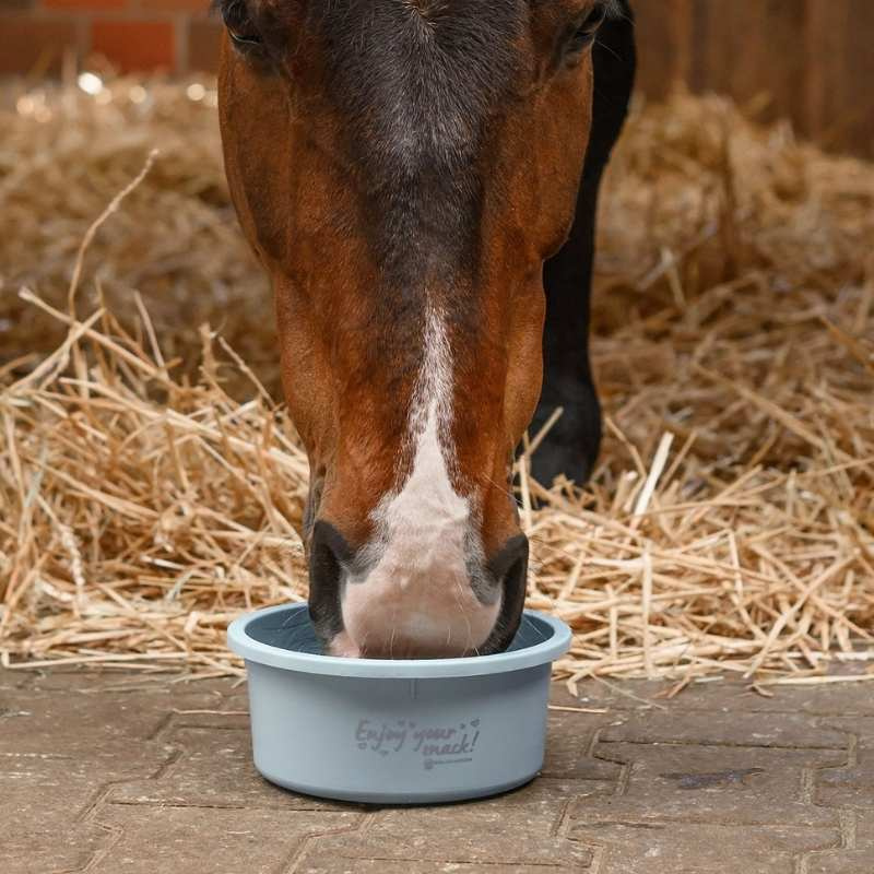 Feed Bowl with Lid 2L Blue