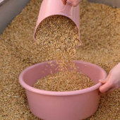 Feed Bowl with Lid 2L Pink Feed Bowl with Lid 2L Pink