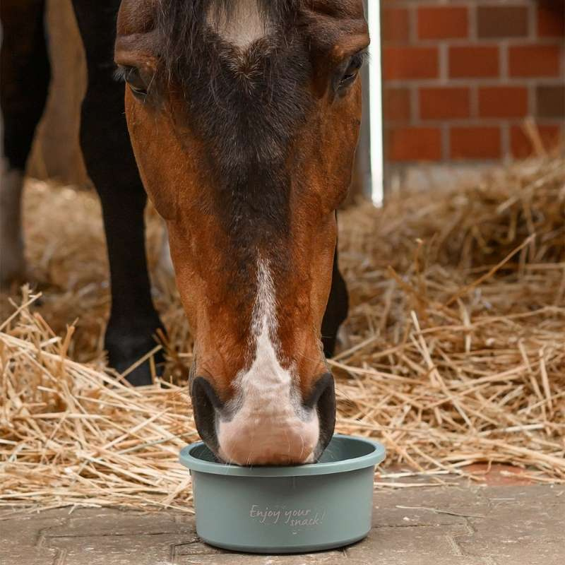 Feed Bowl with Lid 2L Green