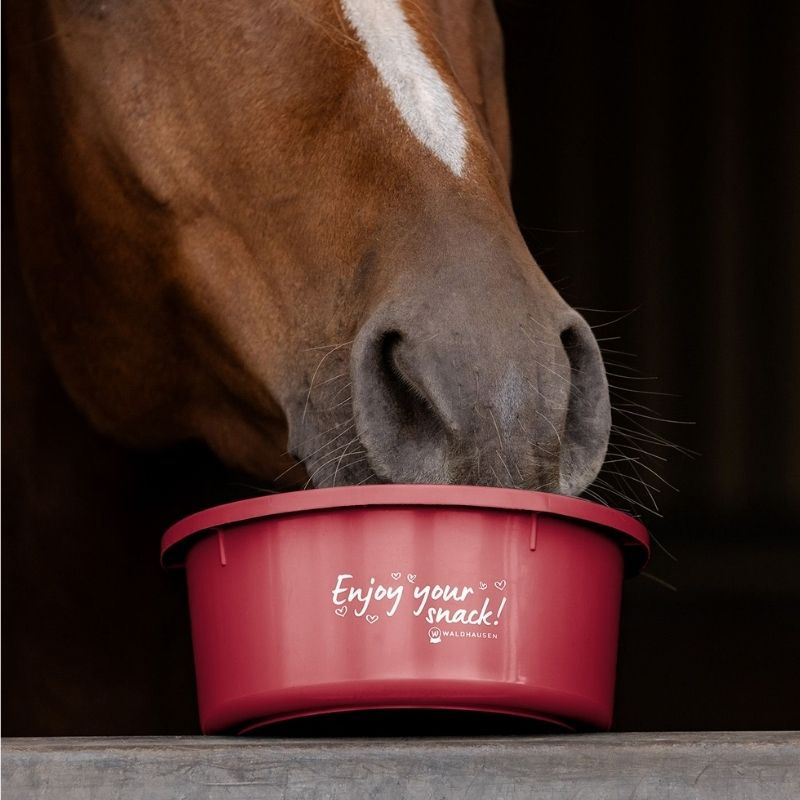 Feed Bowl with Lid 2L Red