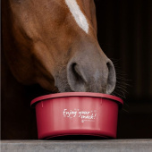 Feed Bowl with Lid 2L Red Feed Bowl with Lid 2L Red