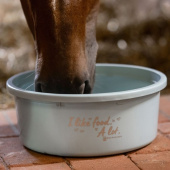 Feed Bowl with Lid XL 8L Blue Feed Bowl with Lid XL 8L Blue