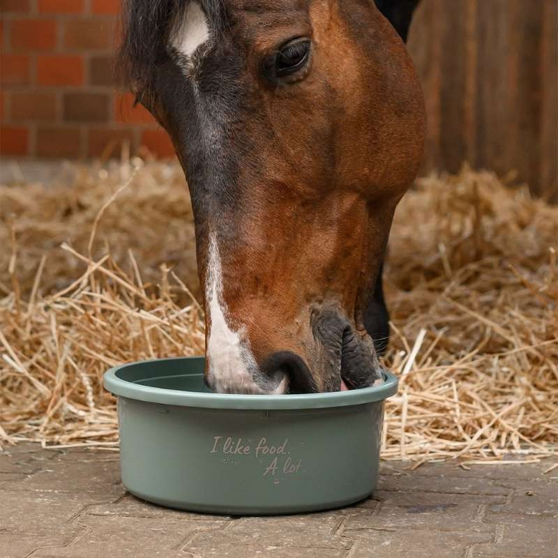 Feed Bowl with Lid XL 8L Green