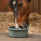Feed Bowl with Lid XL 8L Green Feed Bowl with Lid XL 8L Green